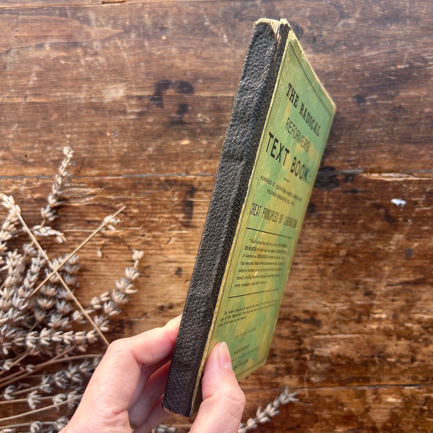 The Radical Reformer's Text Book - Great Principals of Liberalism - Antique Victorian (Preloved)