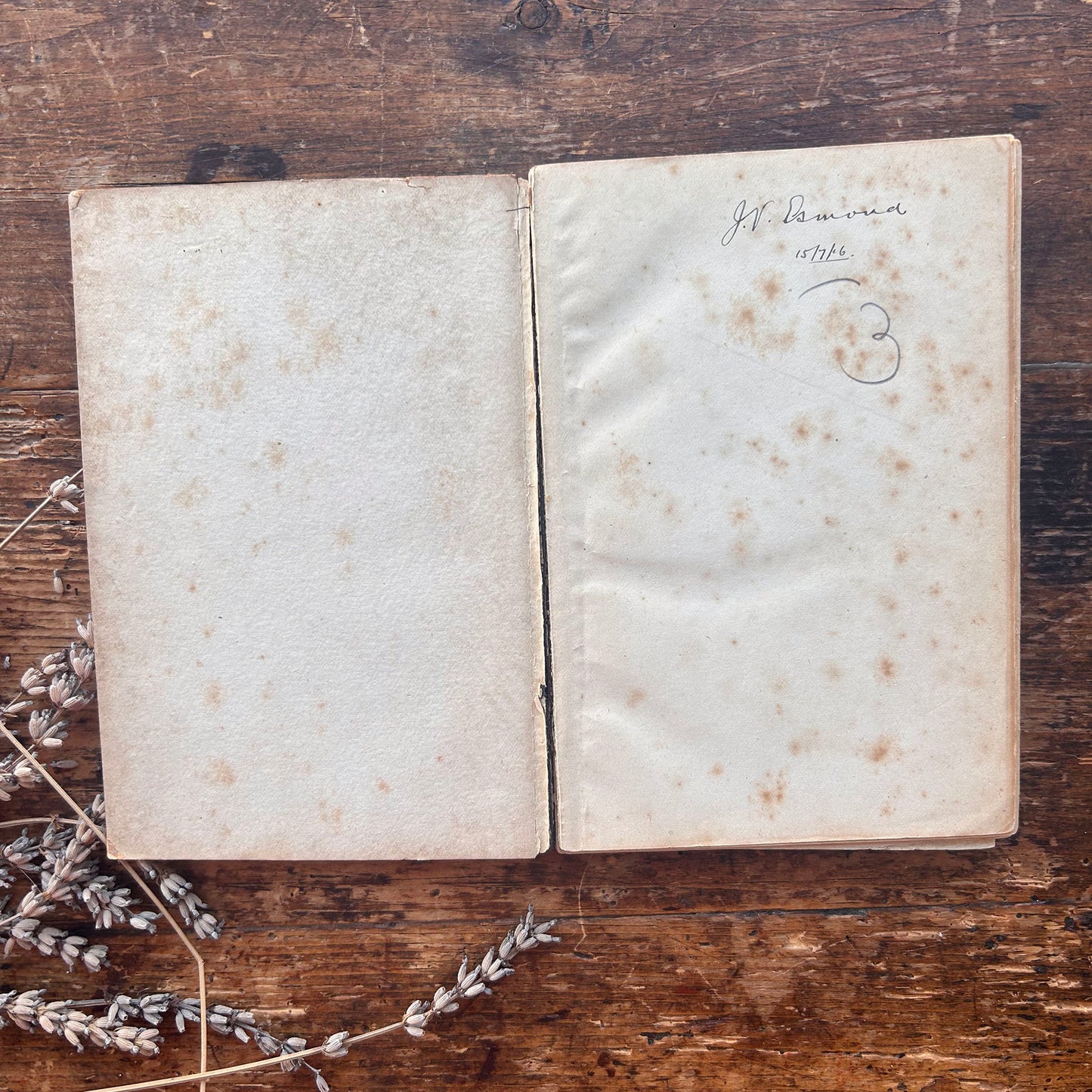 The Radical Reformer's Text Book - Great Principals of Liberalism - Antique Victorian (Preloved)