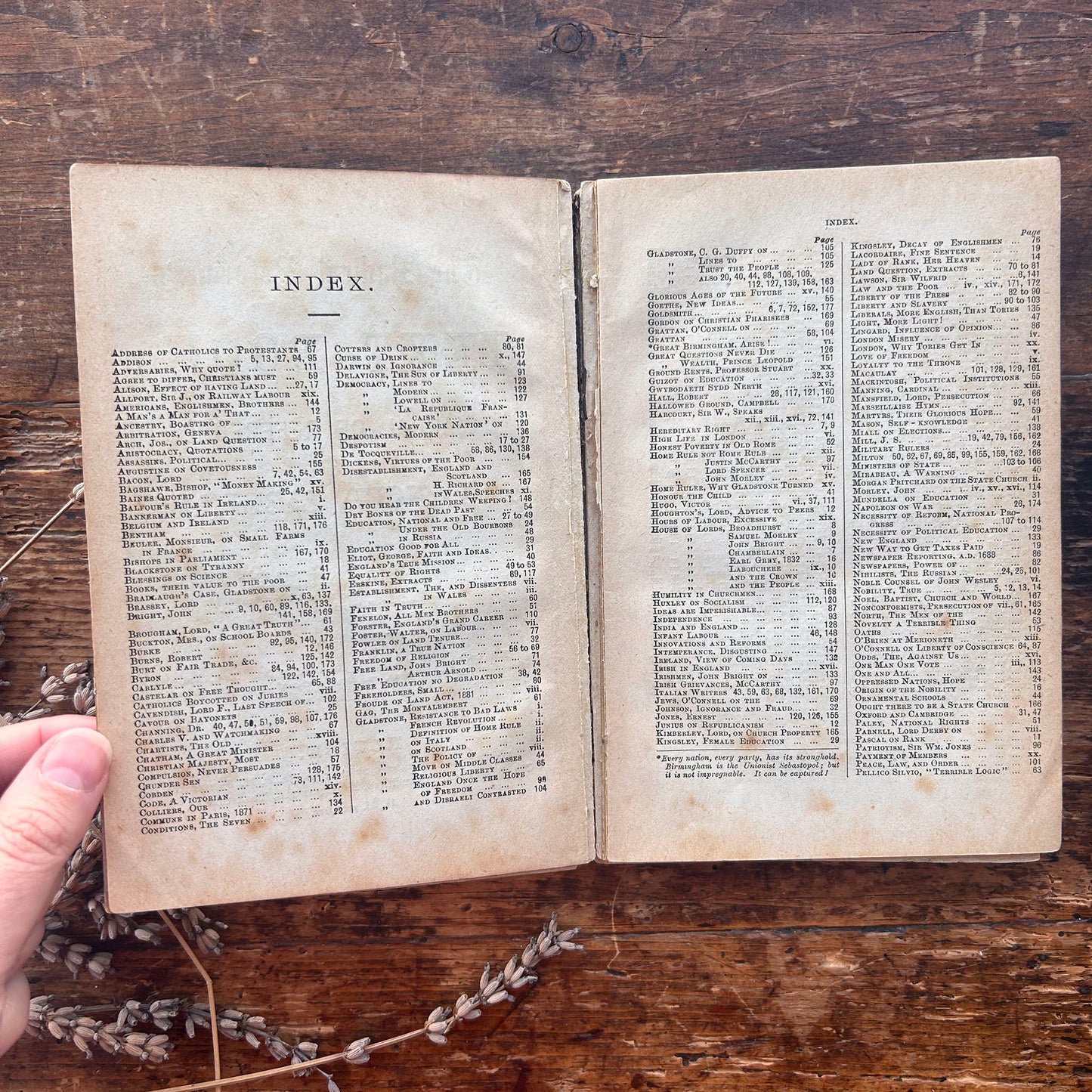 The Radical Reformer's Text Book - Great Principals of Liberalism - Antique Victorian (Preloved)