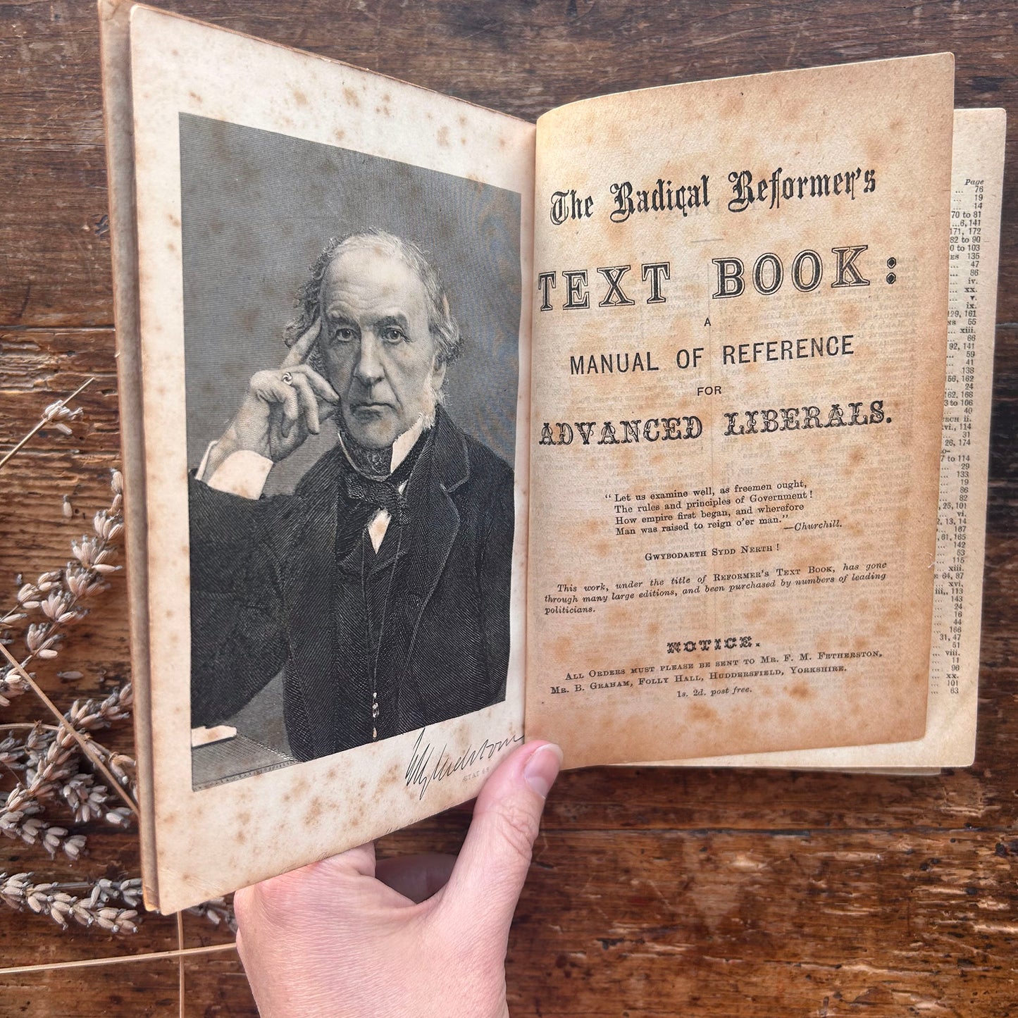 The Radical Reformer's Text Book - Great Principals of Liberalism - Antique Victorian (Preloved)