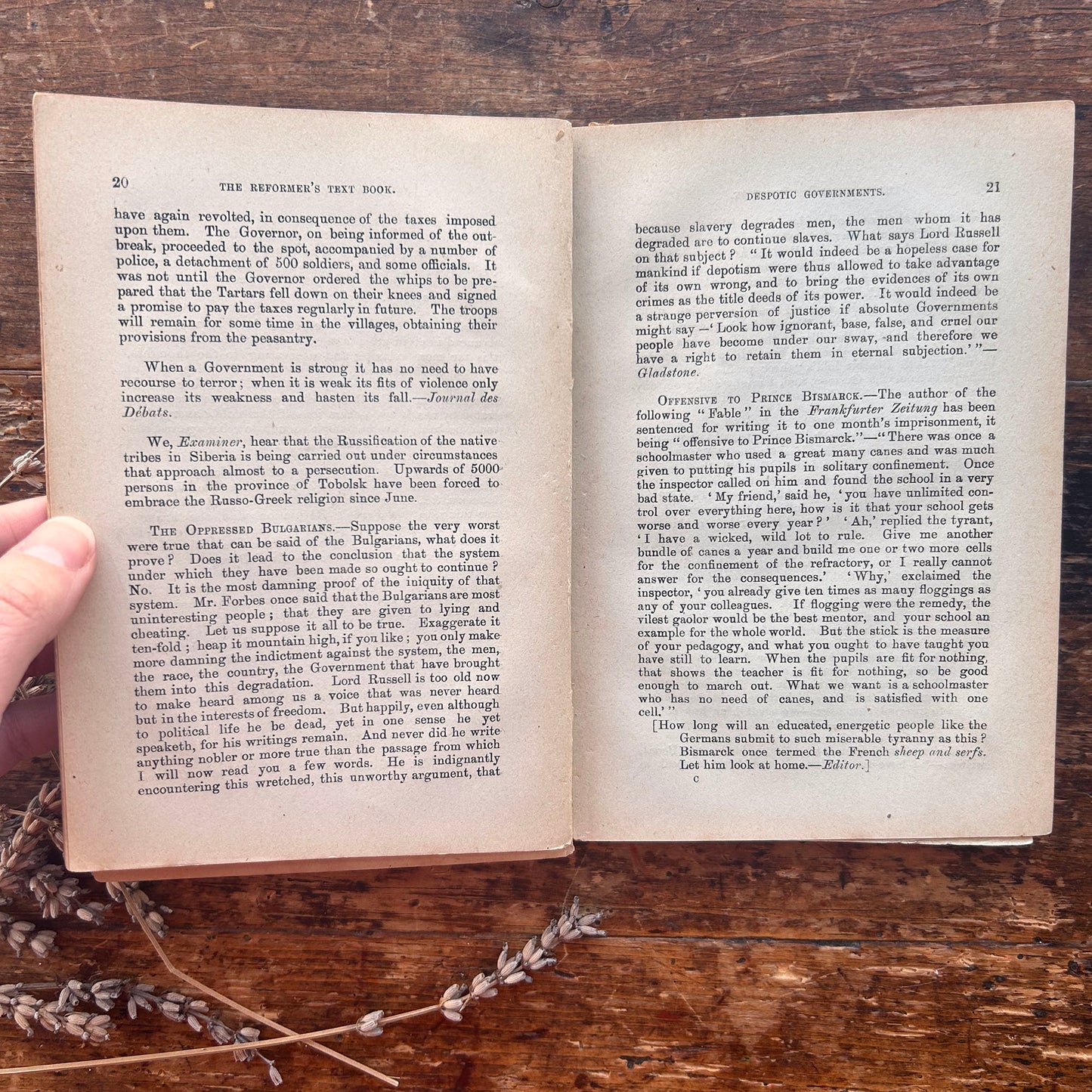 The Radical Reformer's Text Book - Great Principals of Liberalism - Antique Victorian (Preloved)