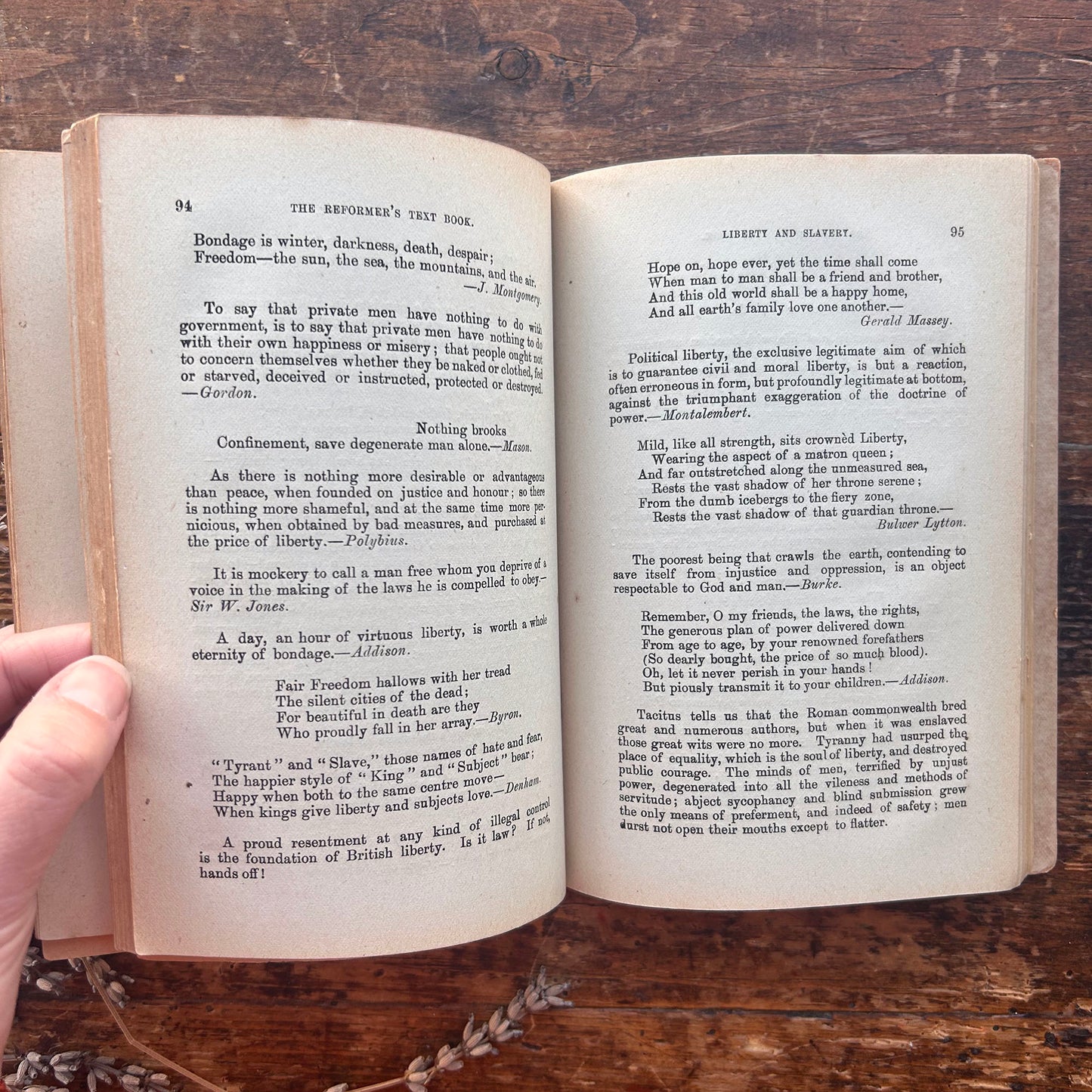 The Radical Reformer's Text Book - Great Principals of Liberalism - Antique Victorian (Preloved)