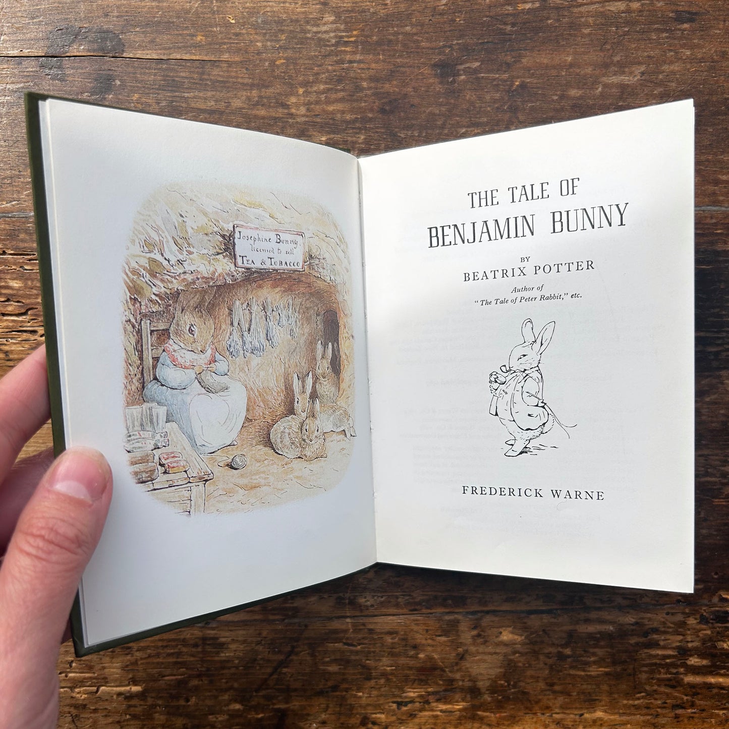 The Tale of Benjamin Bunny - Vintage Beatrix Potter 1989 (Preloved)