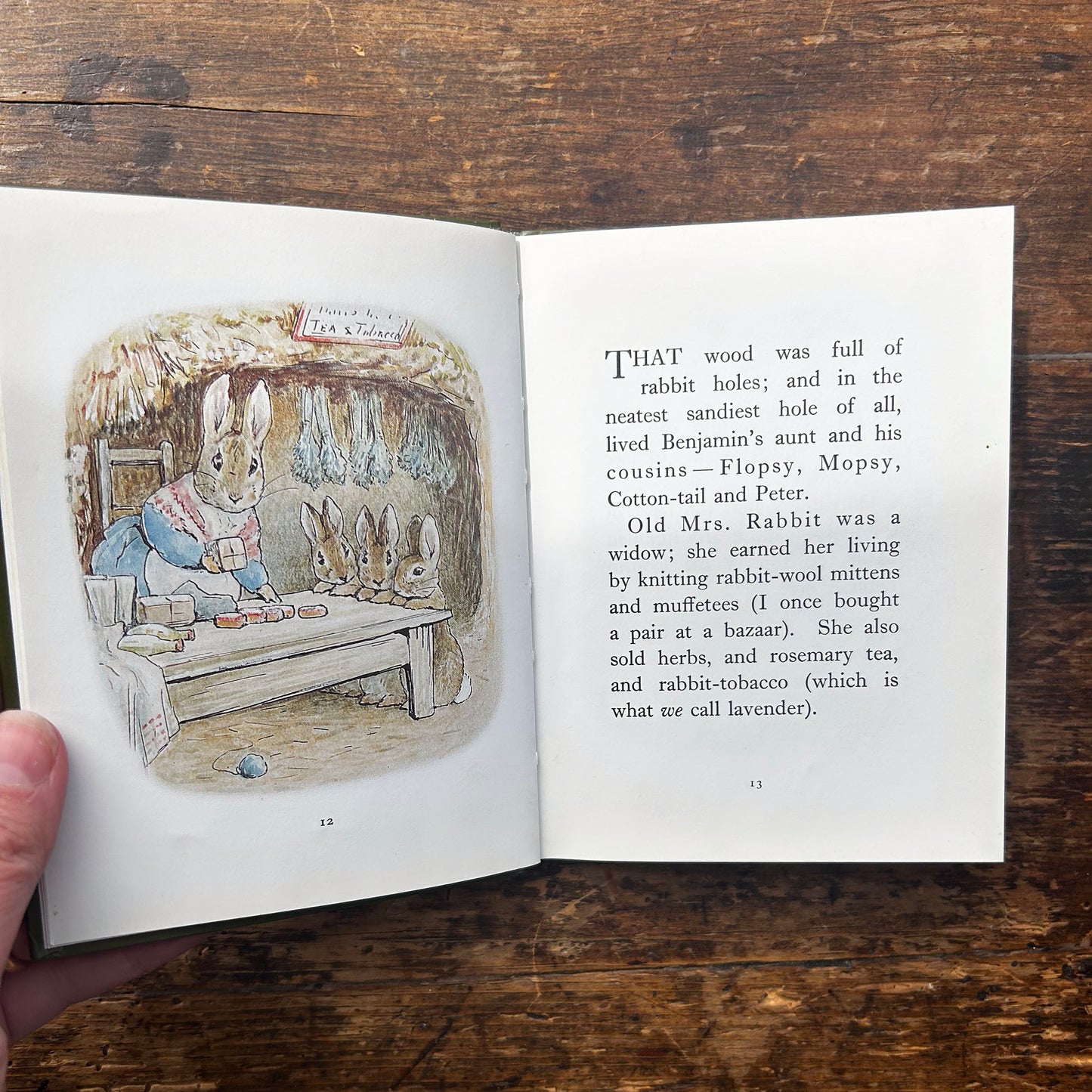 The Tale of Benjamin Bunny - Vintage Beatrix Potter 1989 (Preloved)
