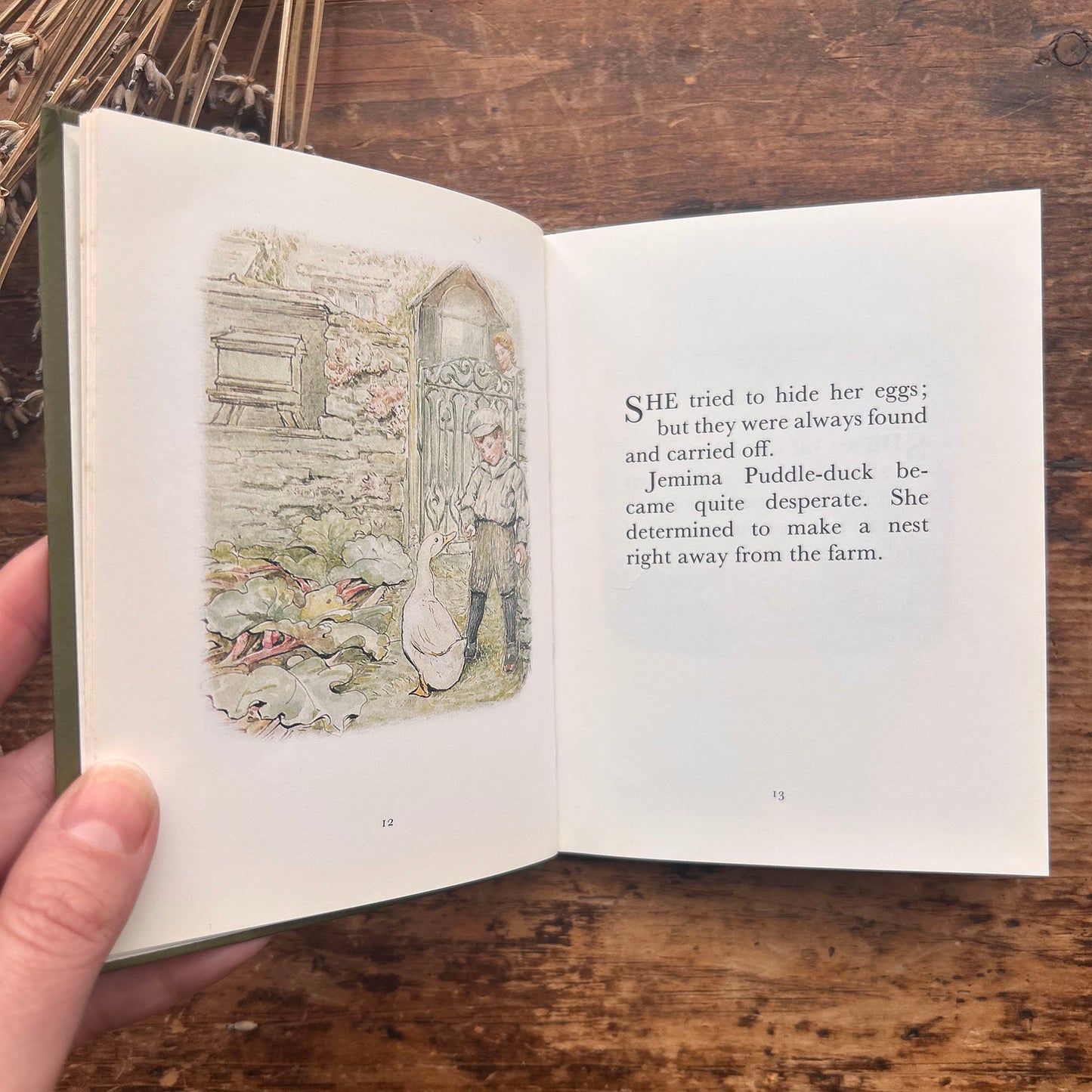 The Tale of Jemima Puddle-Duck - Vintage Beatrix Potter 1987 (Preloved)