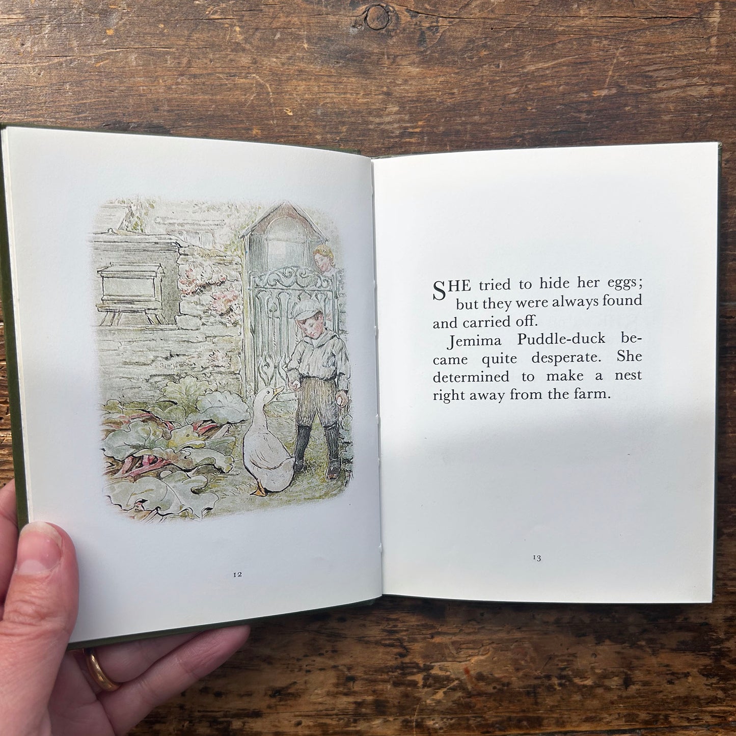 The Tale of Jemima Puddle-Duck - Vintage Beatrix Potter 1989 (Preloved)