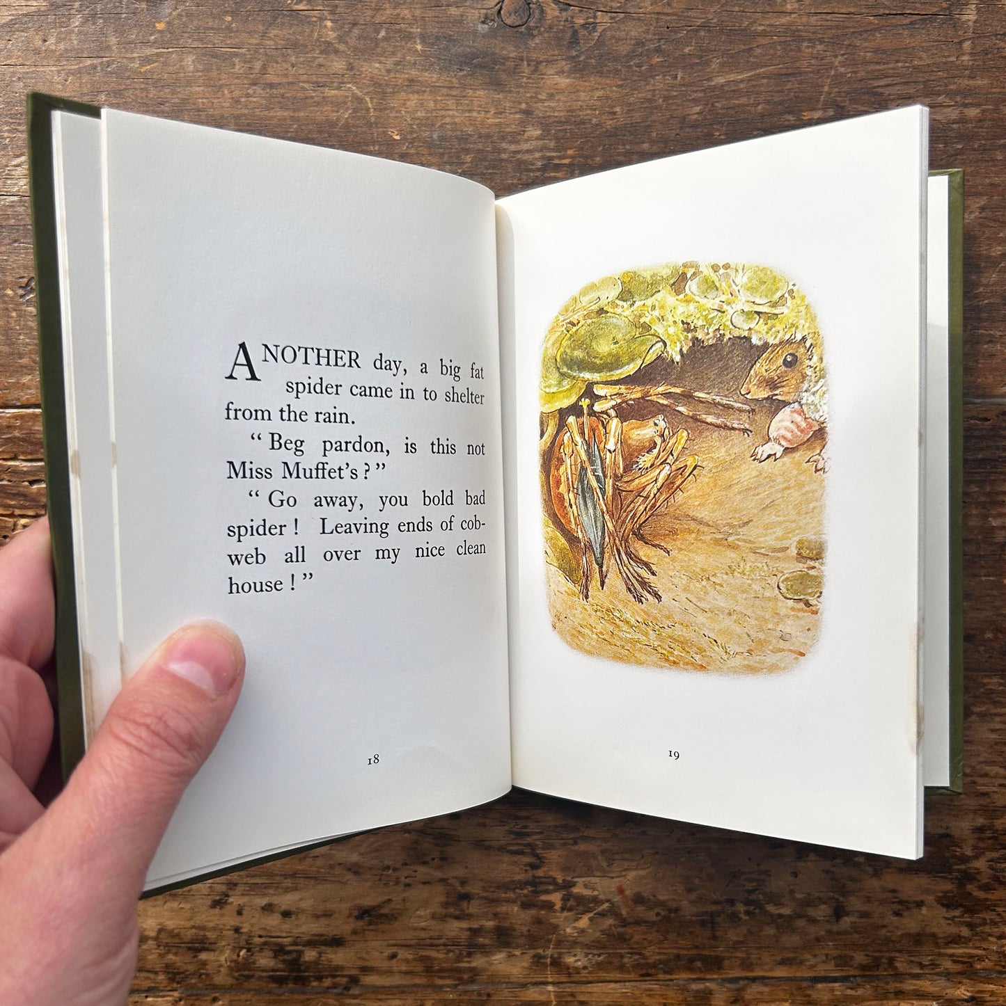 The Tale of Mrs. Tittlemouse - Vintage Beatrix Potter 1989 (Preloved)
