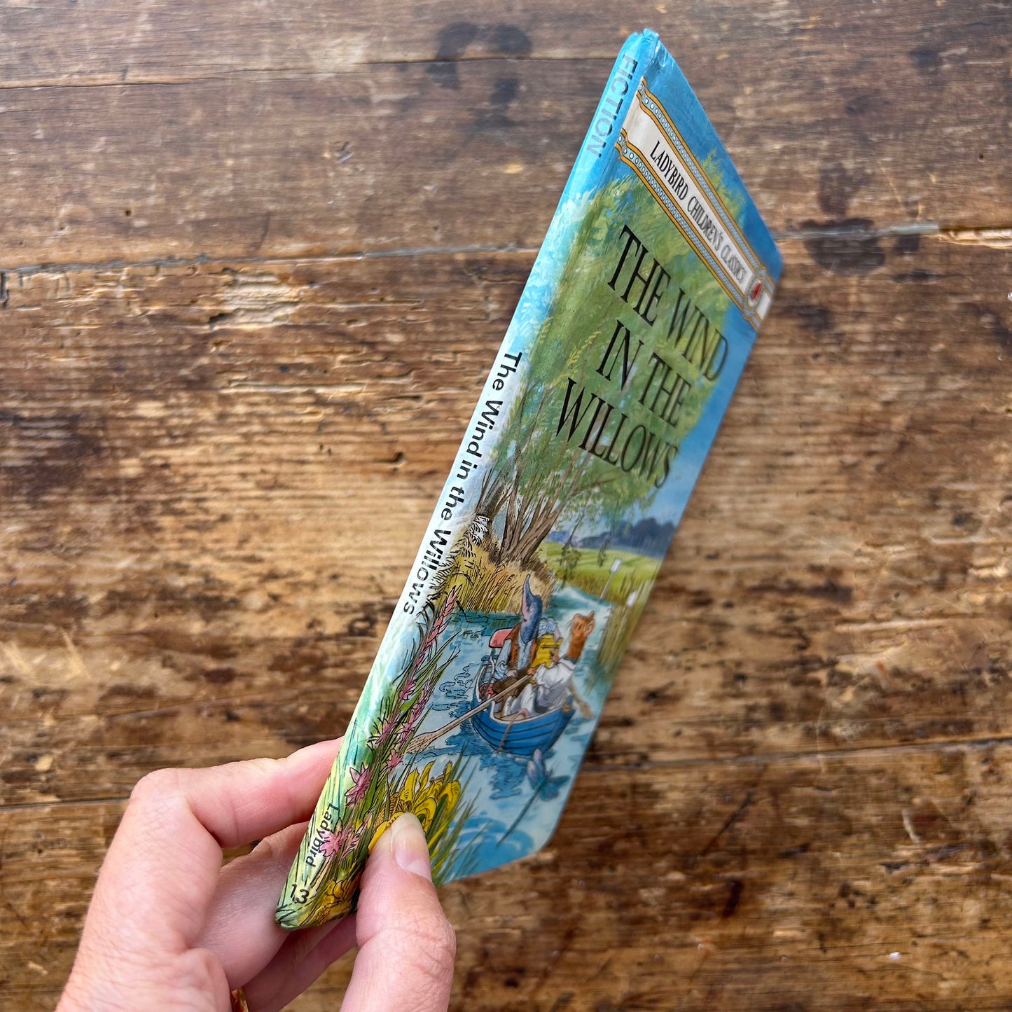 The Wind in the Willows - Vintage Ladybird Children's Classics 1983 (Preloved)