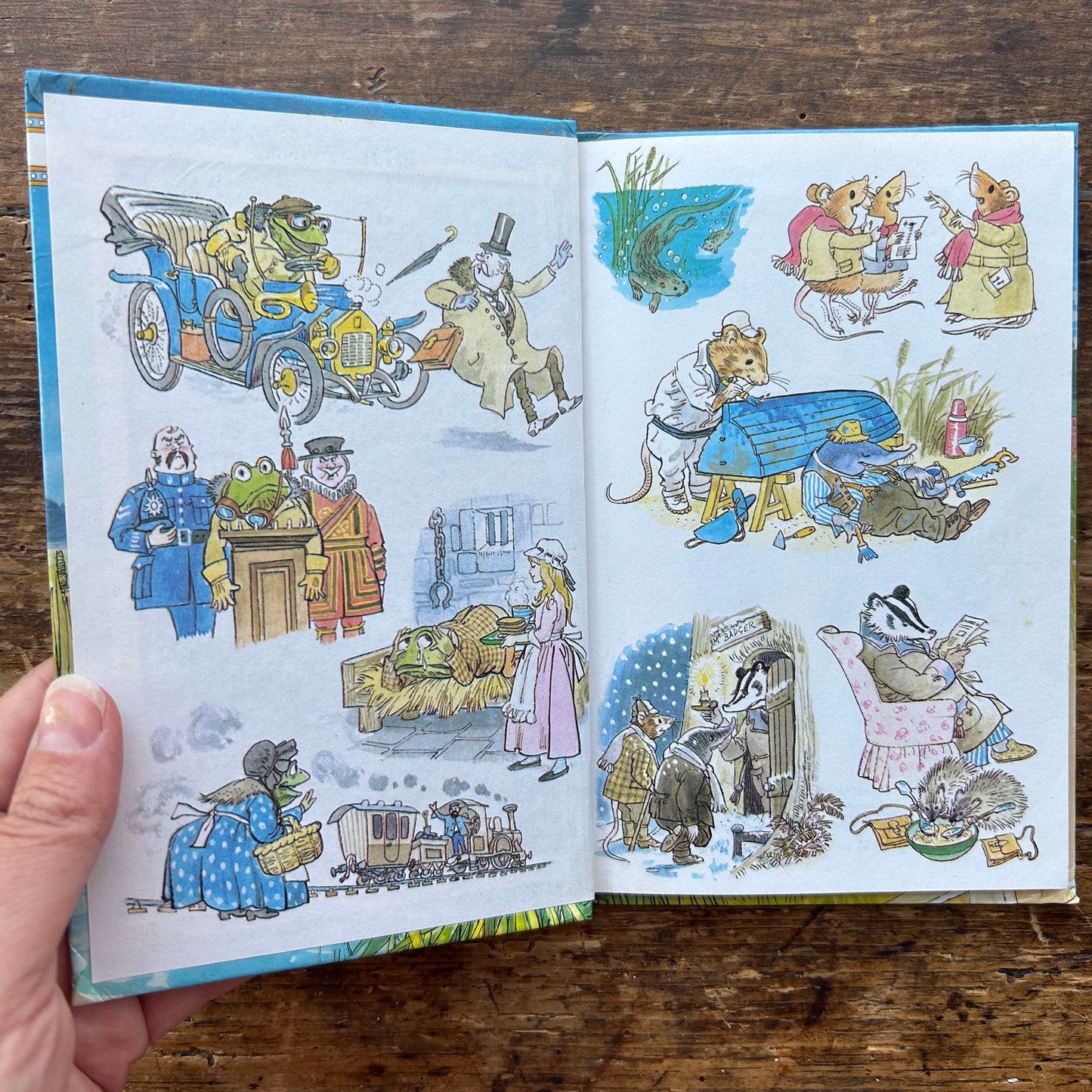 The Wind in the Willows - Vintage Ladybird Children's Classics 1983 (Preloved)