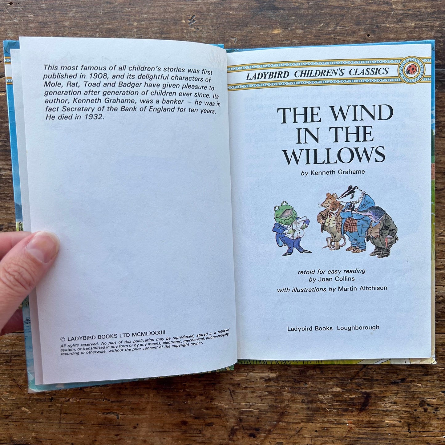 The Wind in the Willows - Vintage Ladybird Children's Classics 1983 (Preloved)