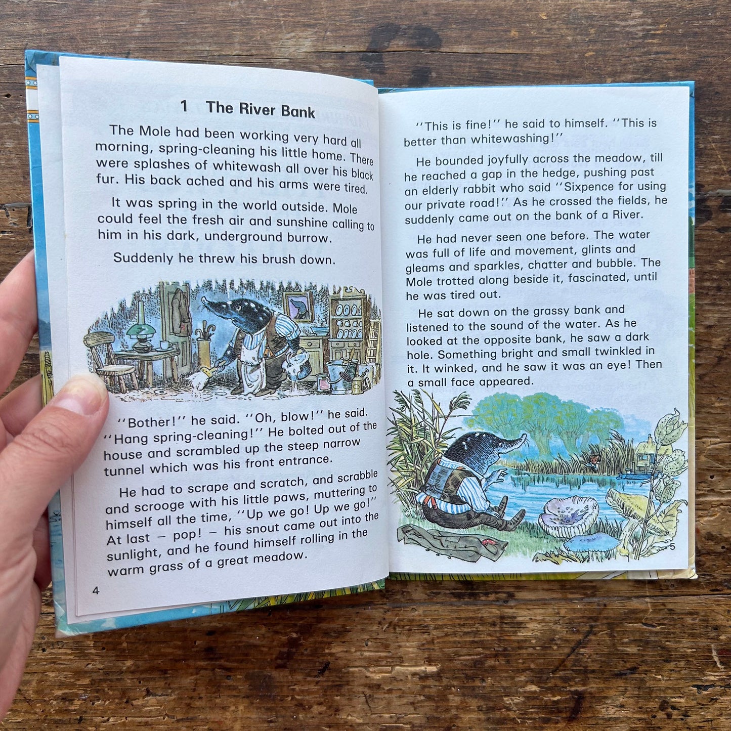 The Wind in the Willows - Vintage Ladybird Children's Classics 1983 (Preloved)