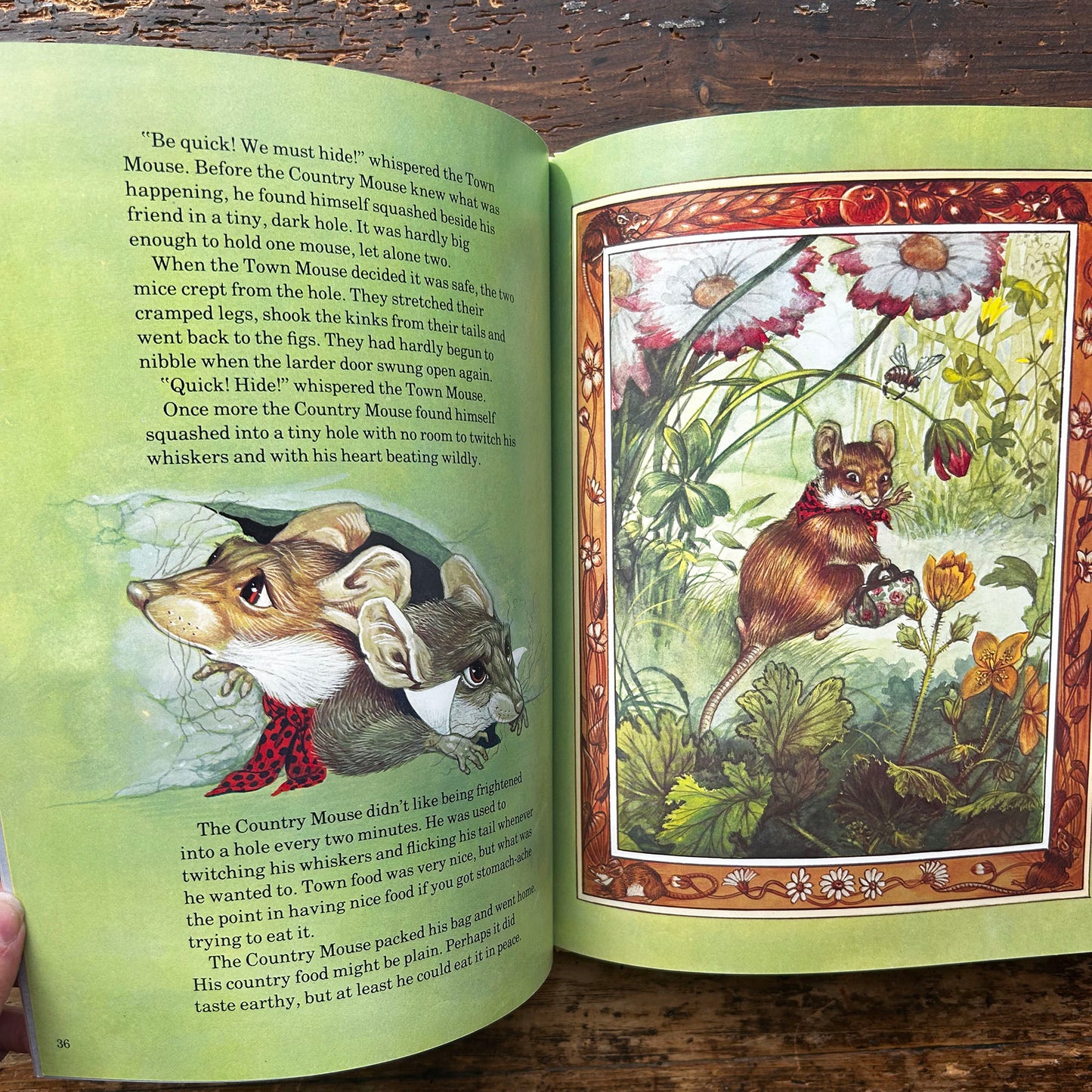 Timeless Fables - A Collection of Aesop's Fables - Lucy & Eric Kincaid 1981 (Preloved)