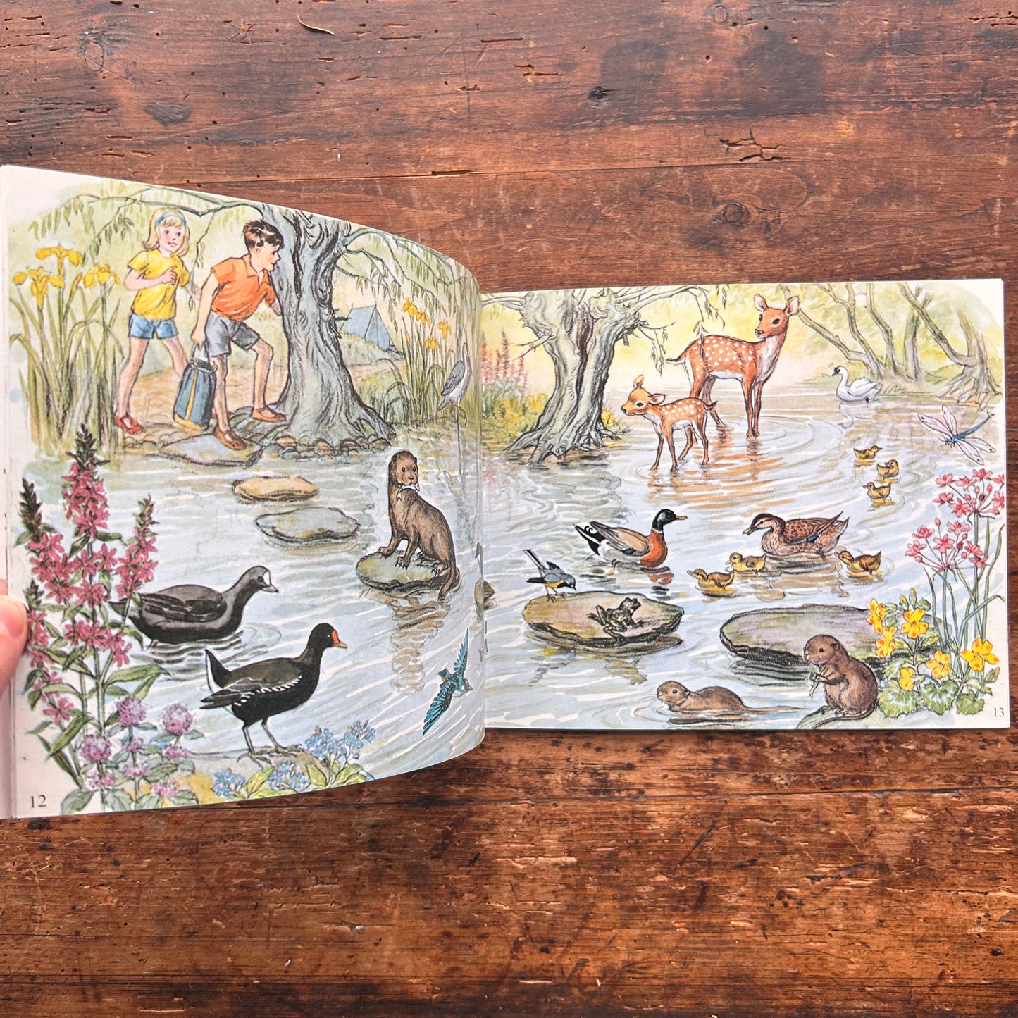 Two in a Tent  - Molly Brett - Vintage 1969 (Preloved)