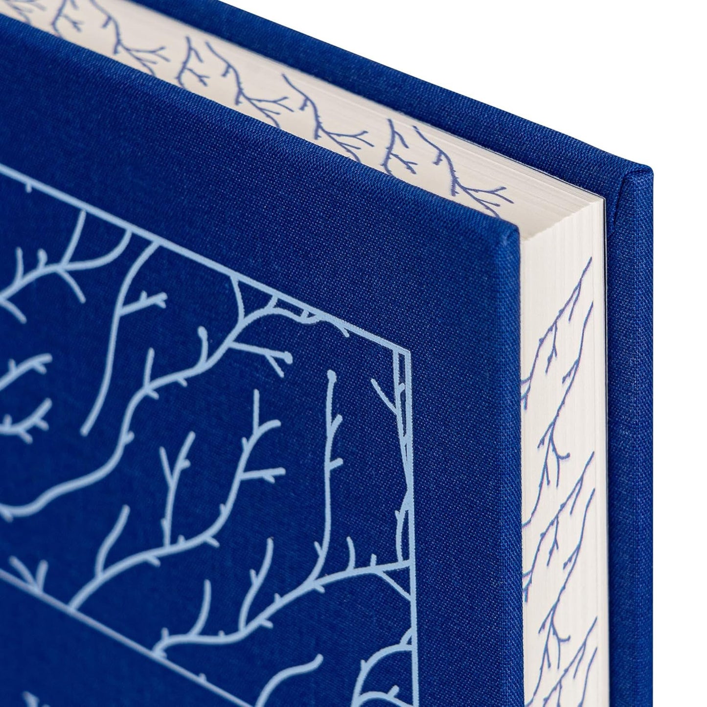 Wuthering Heights - Emily Bronte - Signature Clothbound Edition