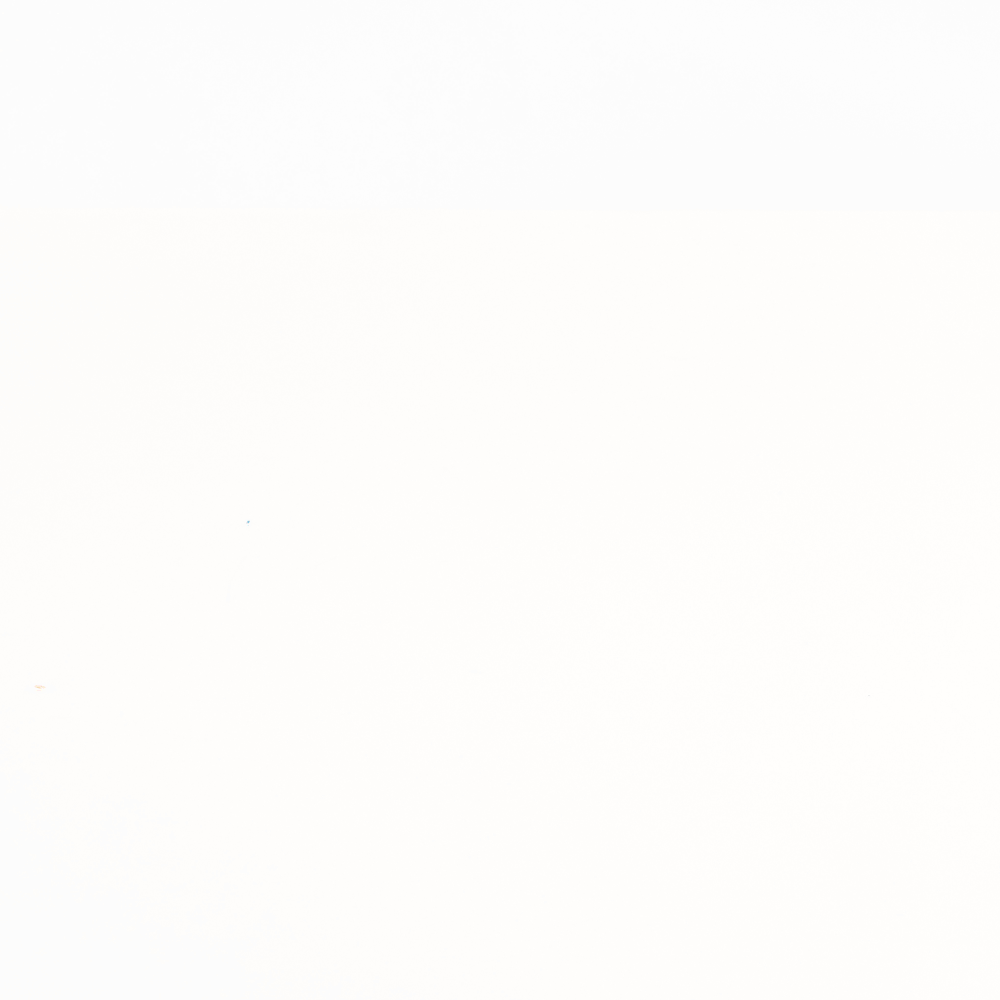 Building Blocks - Wooden - Spot the Dog