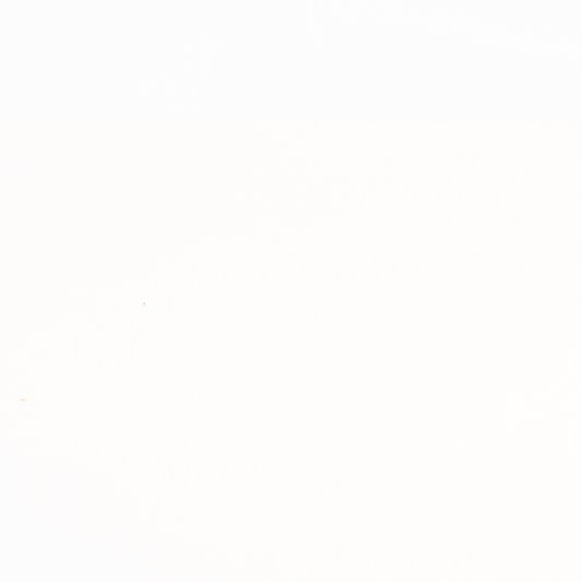 Building Blocks - Wooden - Spot the Dog