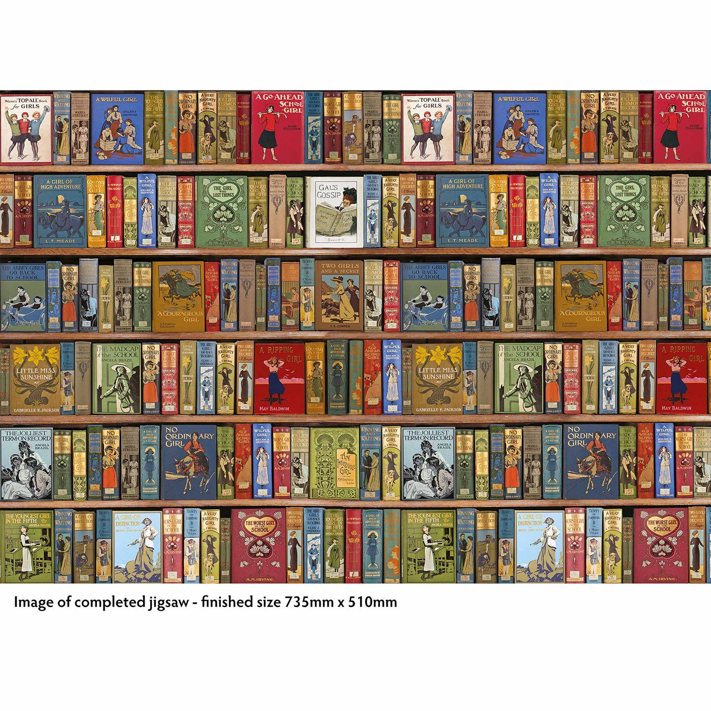 Jigsaw Puzzle - Bodleian Library: High Jinks Bookshelves - 1000-piece