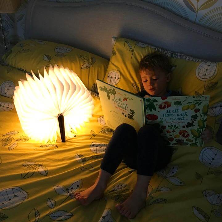 Book Cover Light / Lamp - Book of Spells - Harry Potter Inspired