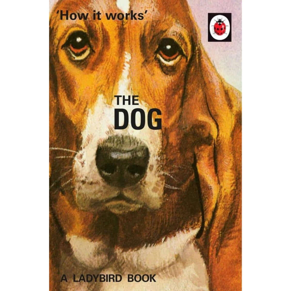 How it Works: The Dog - Ladybird Book