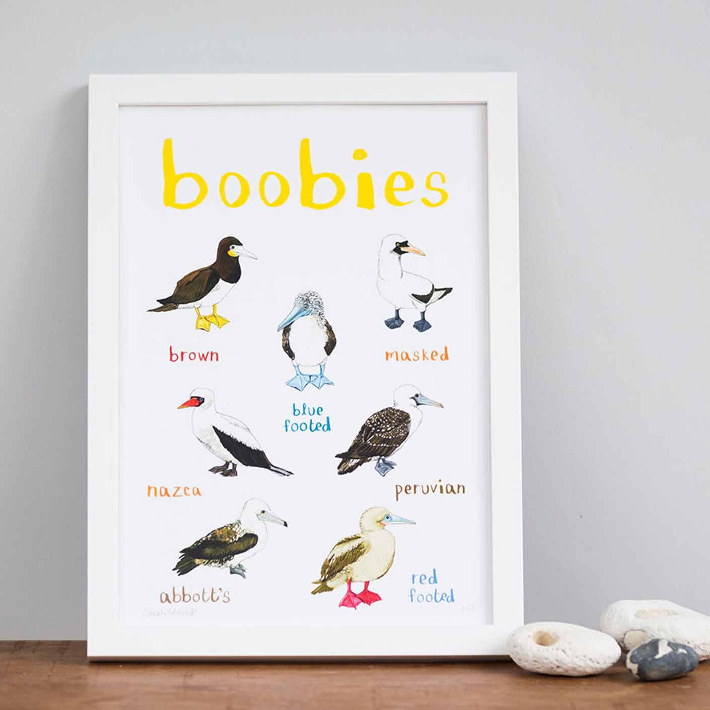 Poster / Print - Fun Puns - Birds - Boobies