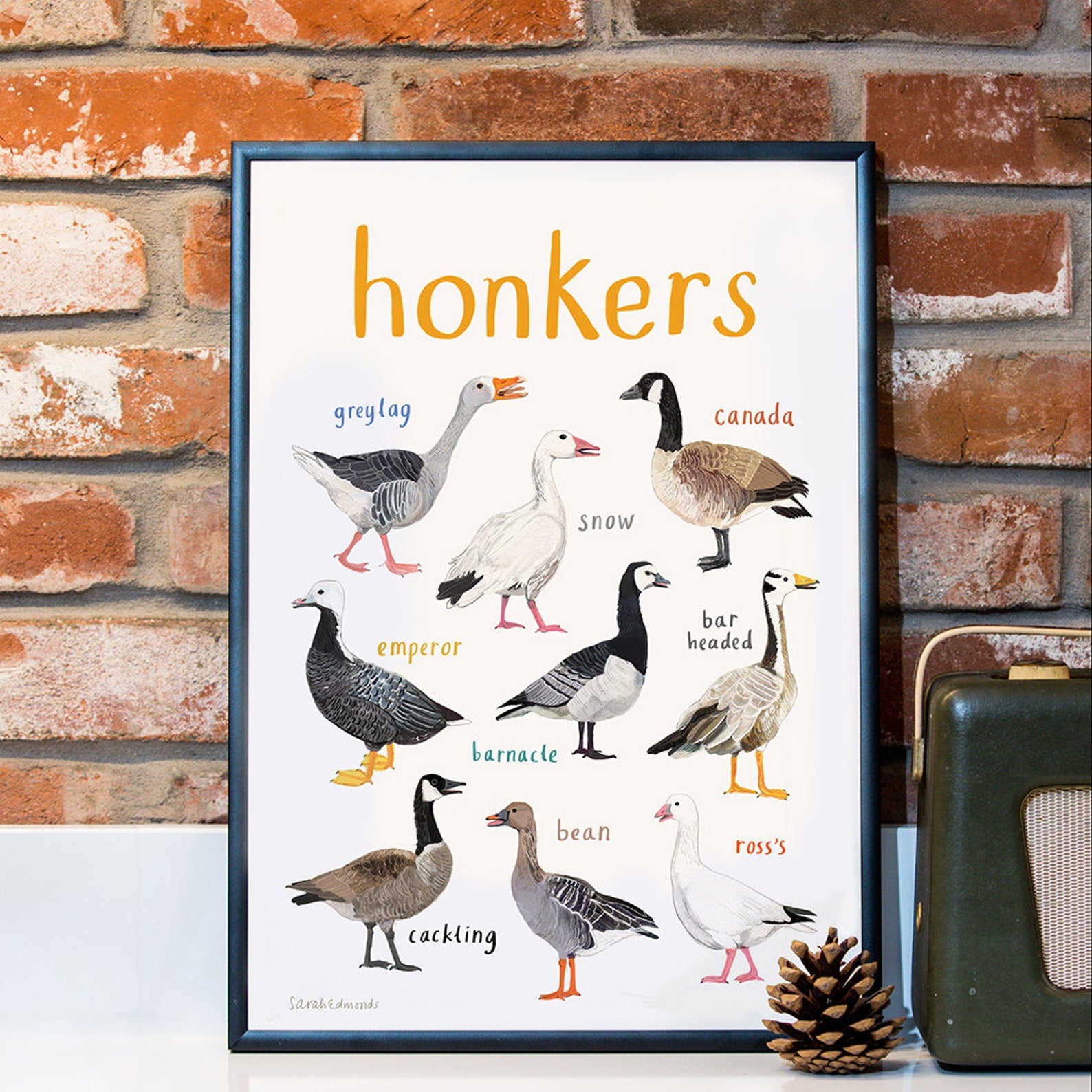 Poster / Print - Fun Puns - Birds - Honkers