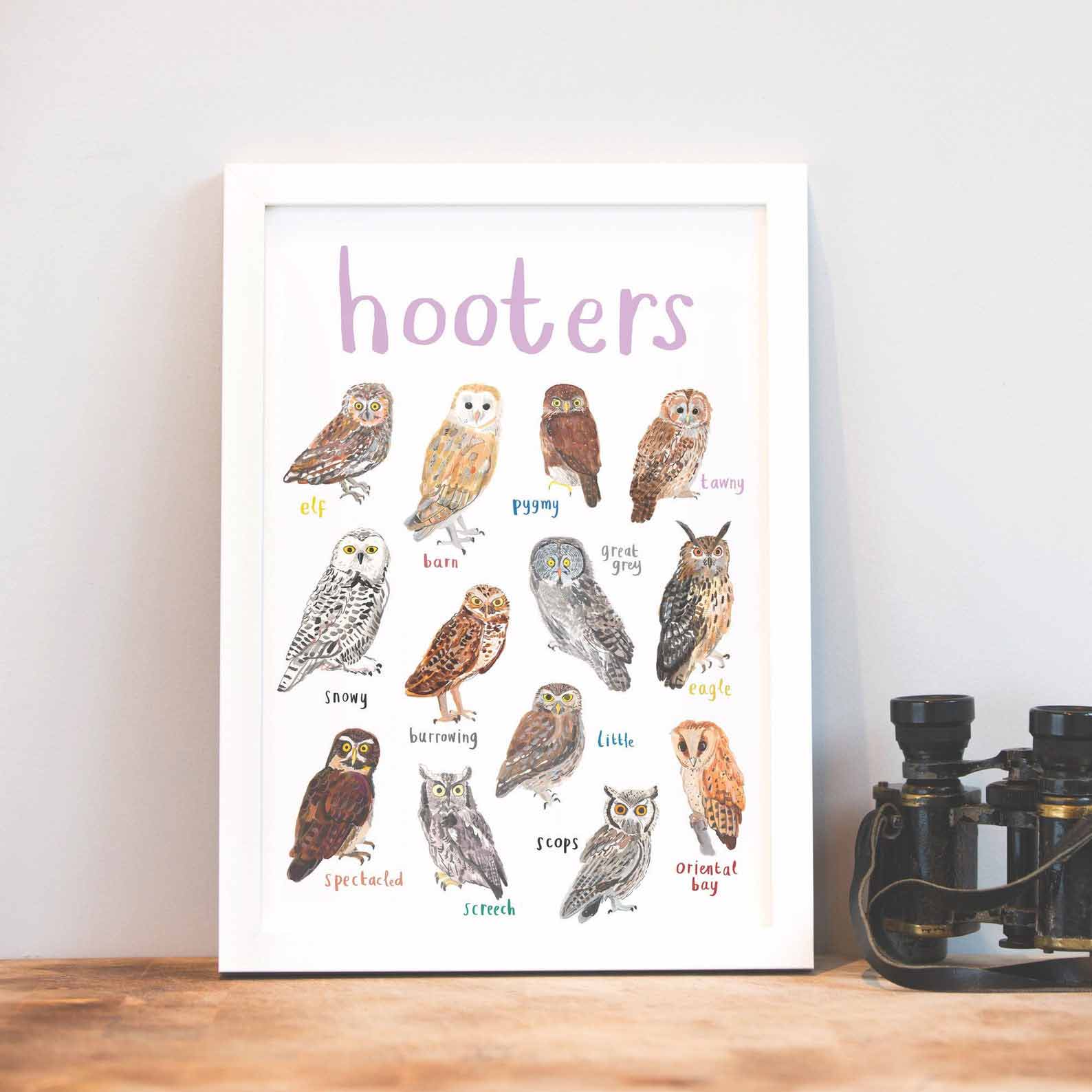 Poster / Print - Fun Puns - Birds - Hooters