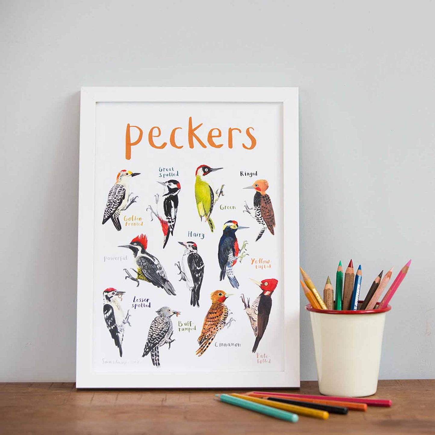 Poster / Print - Fun Puns - Birds - Peckers