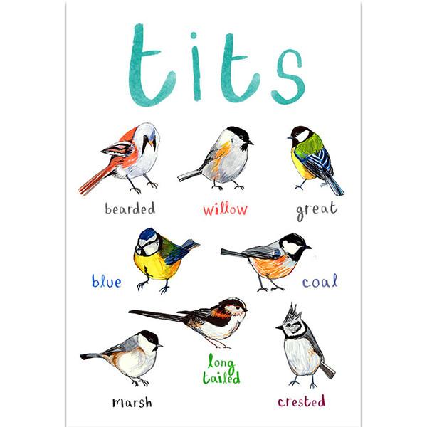 Poster / Print - Fun Puns - Birds - Tits